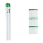 Fordelspakke 25x Philips MASTER TL-D Actinic BL 18W - Ultraviolet | 60cm